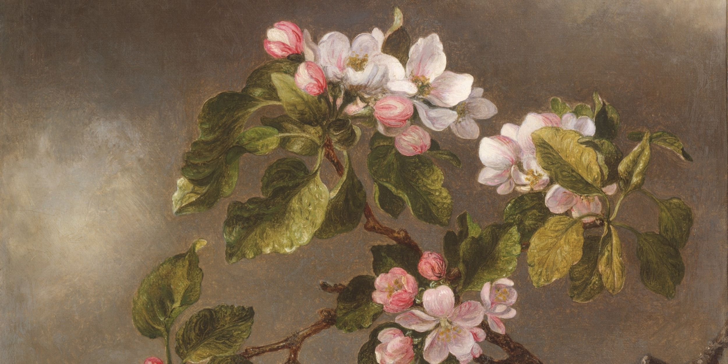 Hummingbird and Apple Blossoms Martin Johnson Heade American 1875 painting, journal cover