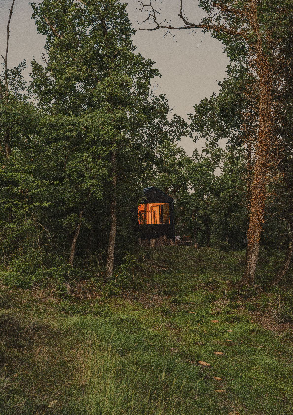 Unplugged Cabin in a forest