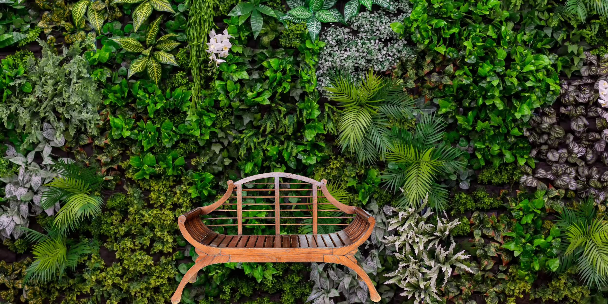 Biophilic interior design example of a green wall with a wooden chair