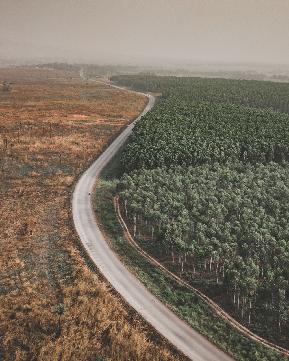 Deforestation in Sierra Leone