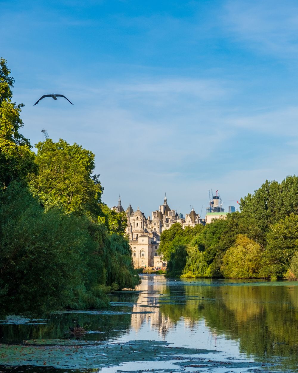 St James's Park in London view of the river