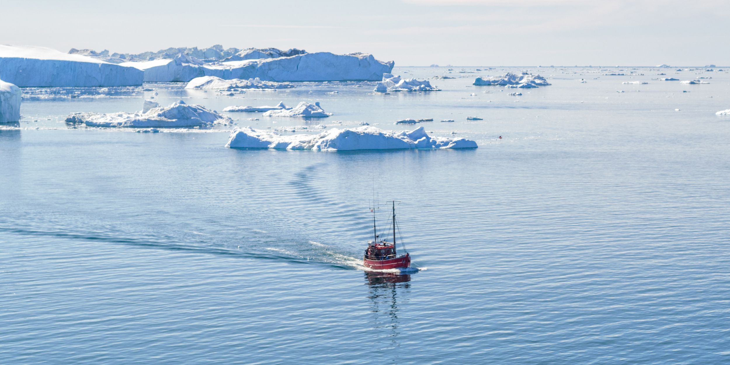 Icebergs and Tourist Boat in Greenland