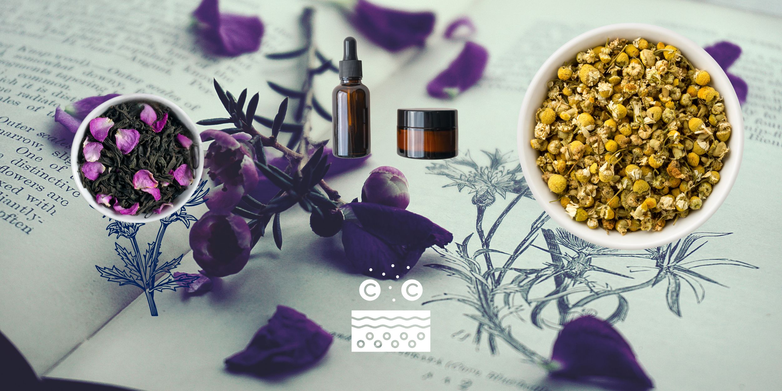 Skin cream banner featuring chamomile, viola and a sin cream bottle and canister