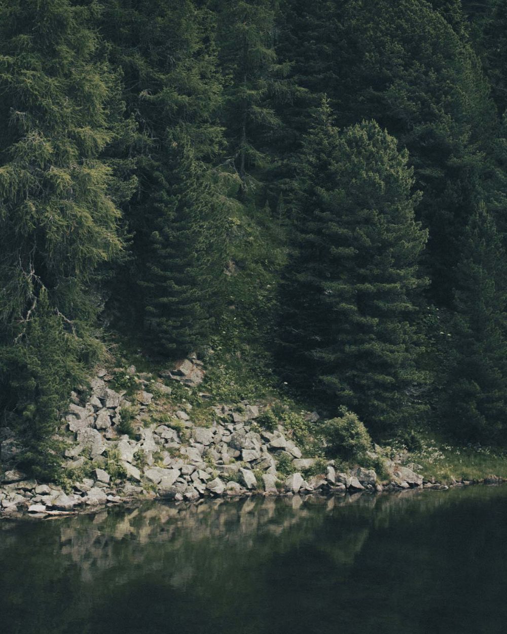 Austrian Alps lake and trees