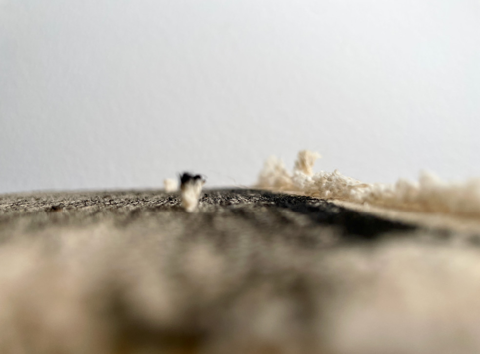 Wan Lin Chang - Art work from her Current Exhibition