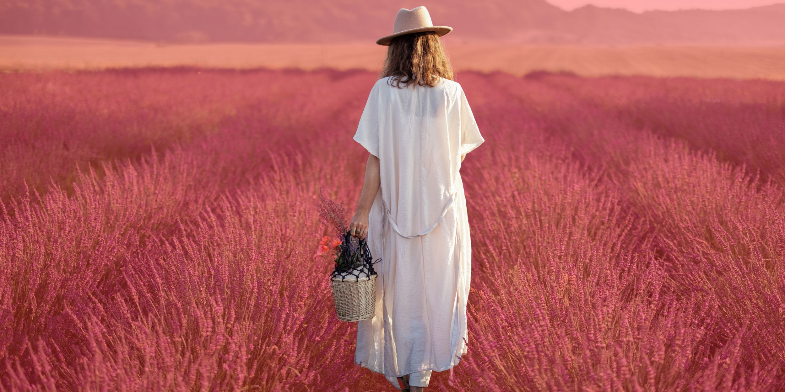 Lavender Lux woman in a Lavender field carrying a basket
