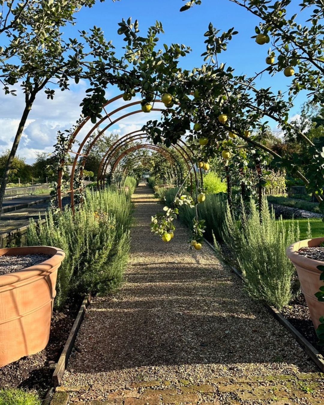 Thyme Farm Stay UK Outdoor Area.