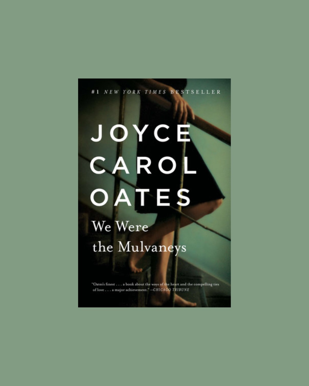 We Were the Mulvaneys by Joyce Carol Oats