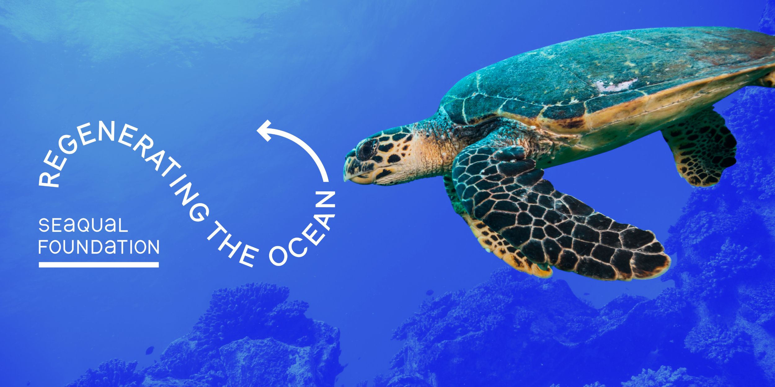 SEAQUAL Foundation tackling ocean waste