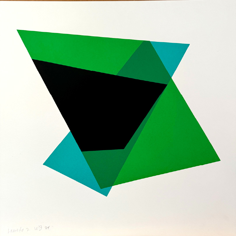 Willard Boepple, Lean To #2, 2024 (Silk Screen Mono print Somerset Velvet 300gsm)