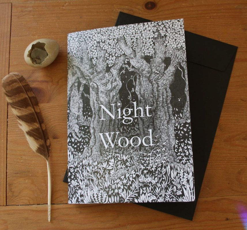 Night Wood Booklet by Alexi Francis cover