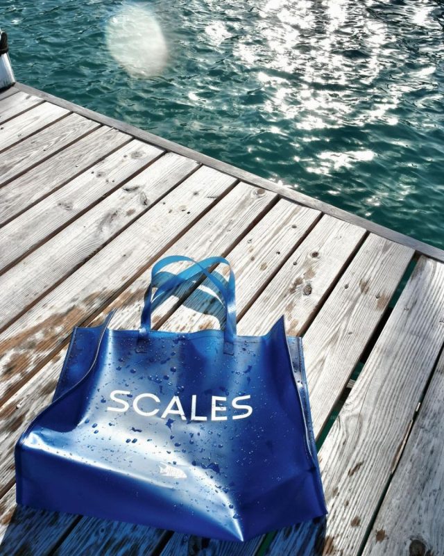 Scales SwimSkin Tote Bag in blue on a wooden jetty with water nearby